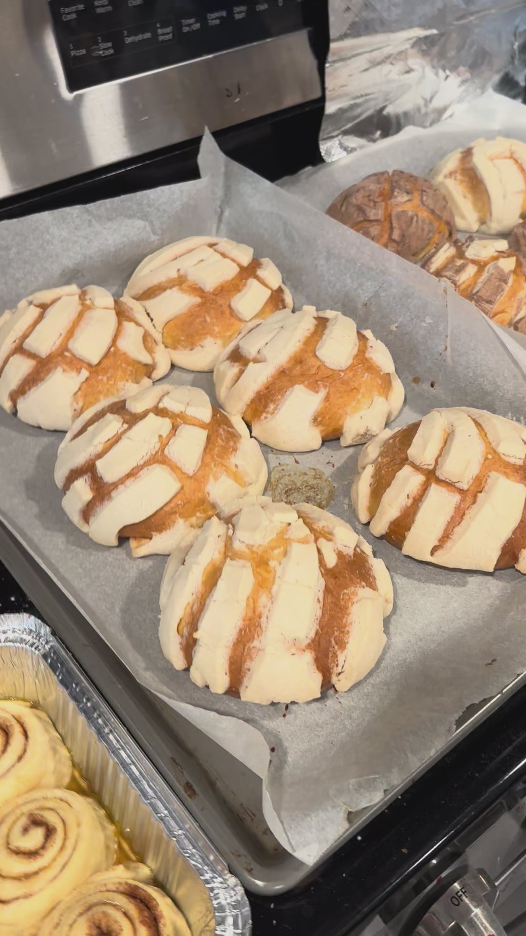 Conchas